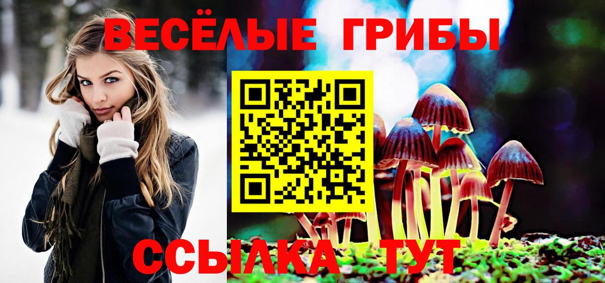 Галлюциногенные грибы Cubensis  Вход с VPN  Бугуруслан 