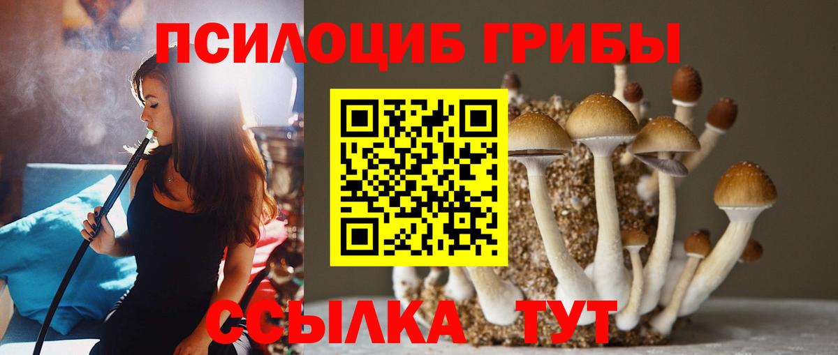 Псилоцибиновые грибы мицелий Бугуруслан