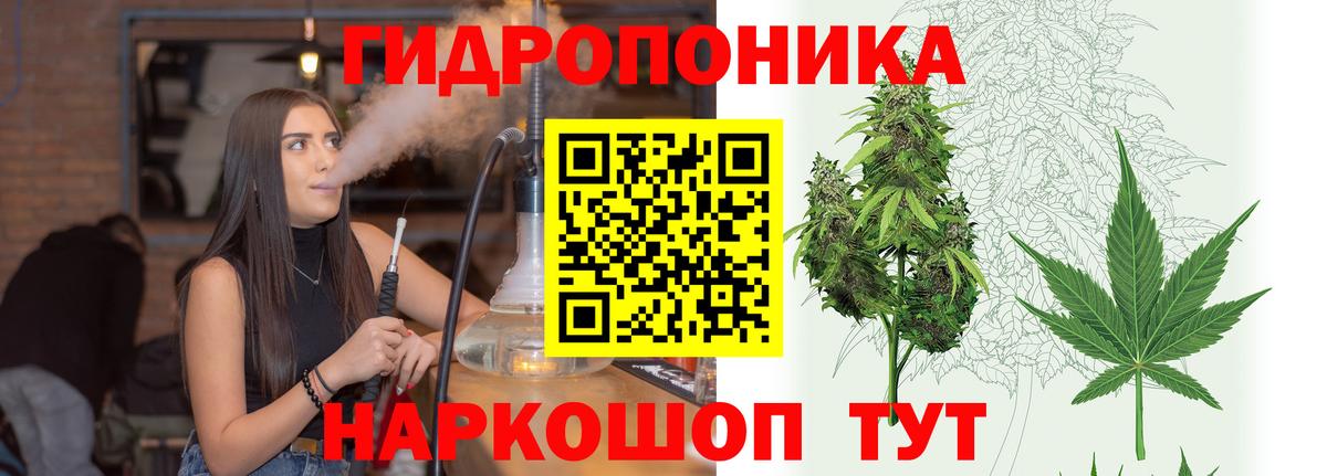 Бошки марихуана семена  Вход с VPN  Канабис марихуана  Бугуруслан  Бошки Шишки ГИДРОПОН 